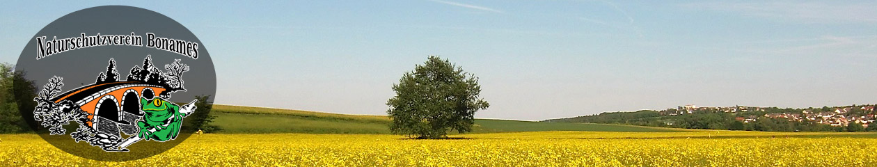 Naturschutz­verein Bonames e.V.