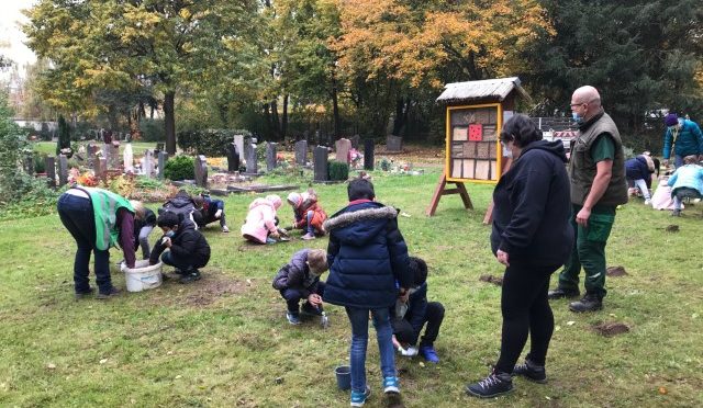 Pflanzaktion: Blumenzwiebeln für den Friedhof Bonames